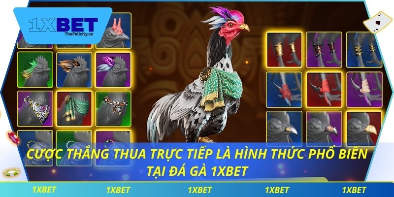 Cược thắng thua trực tiếp là hình thức phổ biến tại đá gà 1xbet